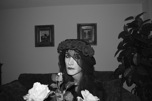 DSC 0225bw.jpg