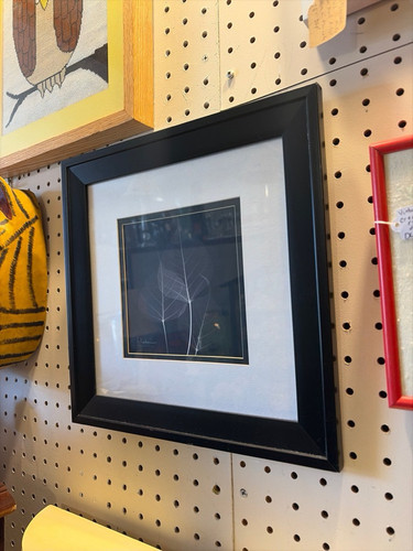 67ada7d0ef56.jpg