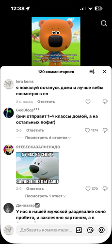 IMG 6956.png