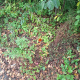J40UnEP2cdGNm Wz8HcWnn1058CQ10KxM.jpg
