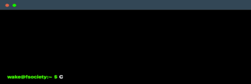 terminal resized.gif