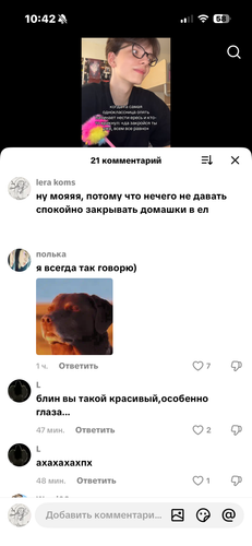 IMG 6897.png