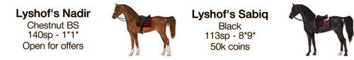 Deckhengste.png