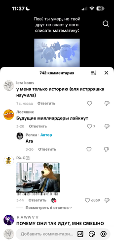 IMG 6911.png