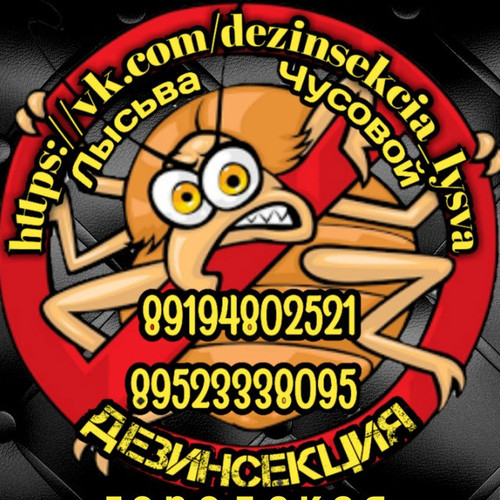 dezinsekcia lysva.jpg