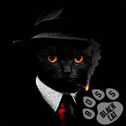 black cat cardinal.jpg