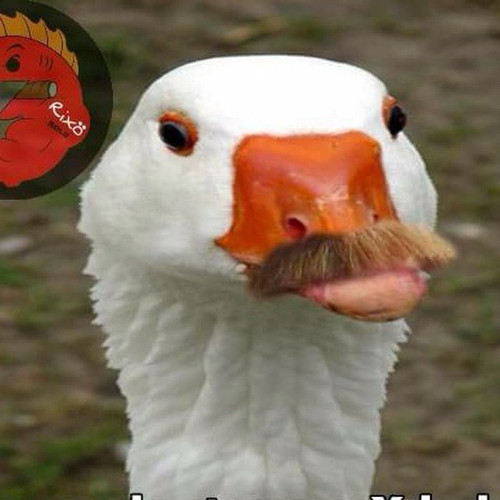 AprendeAUsarHttpInjectorDesde0.jpg
