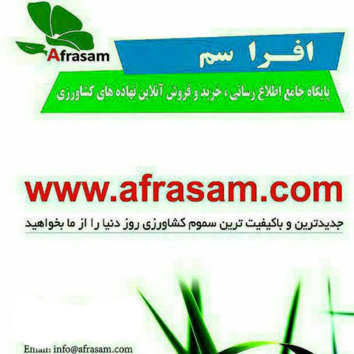 afrasam.jpg