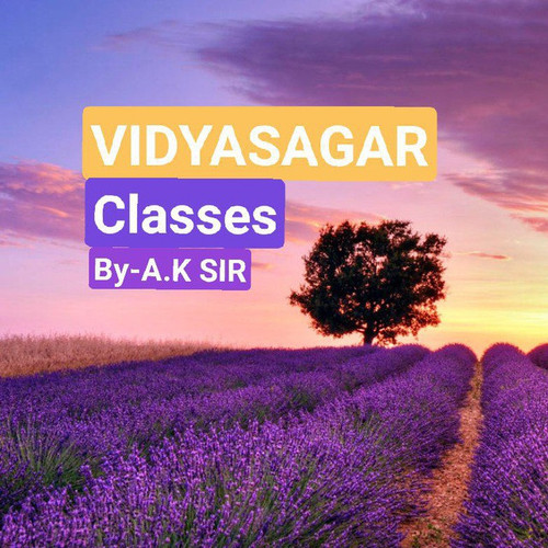 vidyasagarclassesbyaksir.jpg