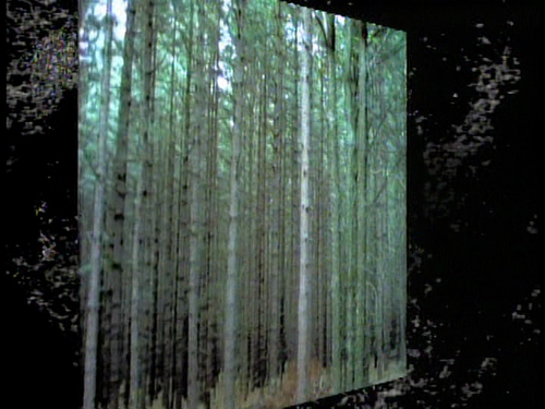 vlcsnap 2026 03 29 22h56m43s778.png