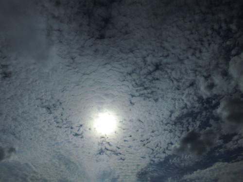 rl 31943156608 o.jpg