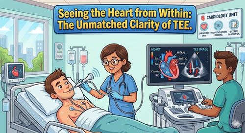 Seeing the Heart from Within The Unmatched Clarity of TEE..png