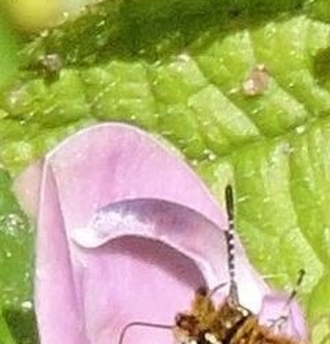 6f7247e718e0.jpg
