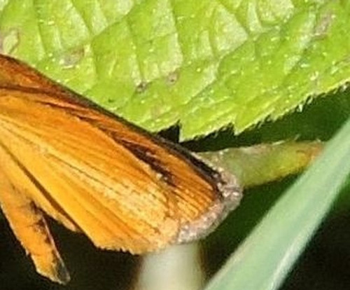 e46b9ac4b282.jpg