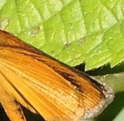043b453dec07.jpg