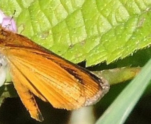 65145644f599.jpg