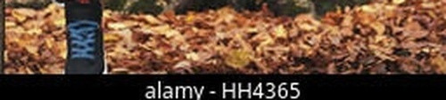 513dd96b7271.jpg