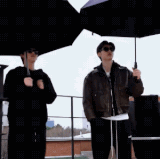 15491851.gif