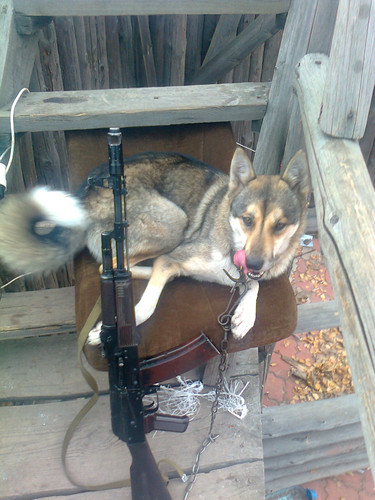 rl 31943157068 o.jpg