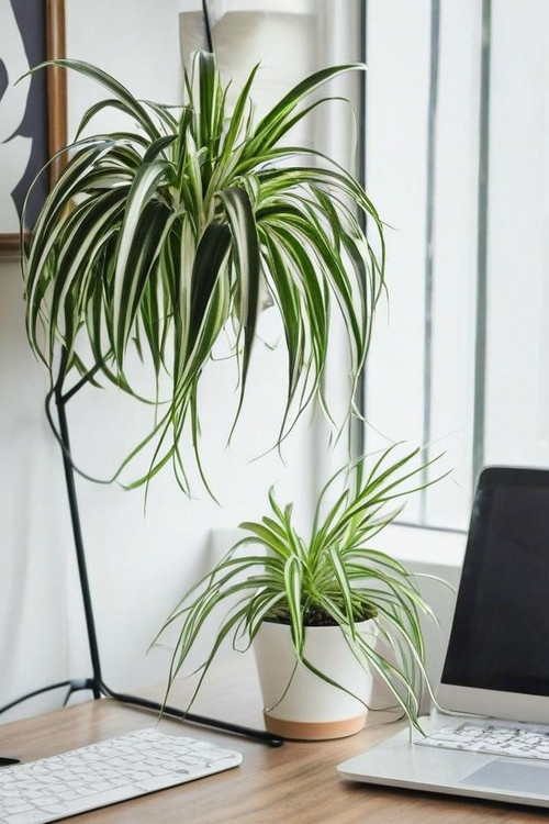 AZXn8PdxP9bGqkA oPGTGh111wBkY6UhyHLr28asrY1gWSV MCKNUM40CYdzEg53mhhjC2ASJeYpzmx0jzeAb3DoHmzs6laN7h1y.jpg