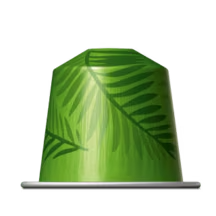 rio de janeiro 2x.png