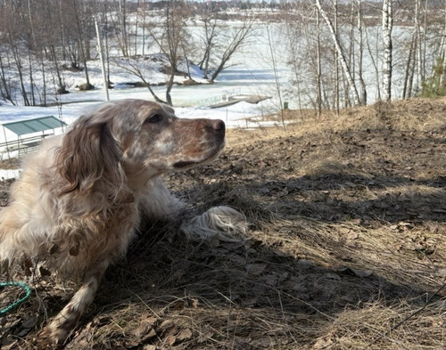 IMG 5560.jpg