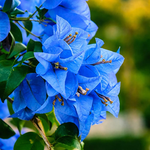 61EXjPY1RdL. SL1024 .jpg