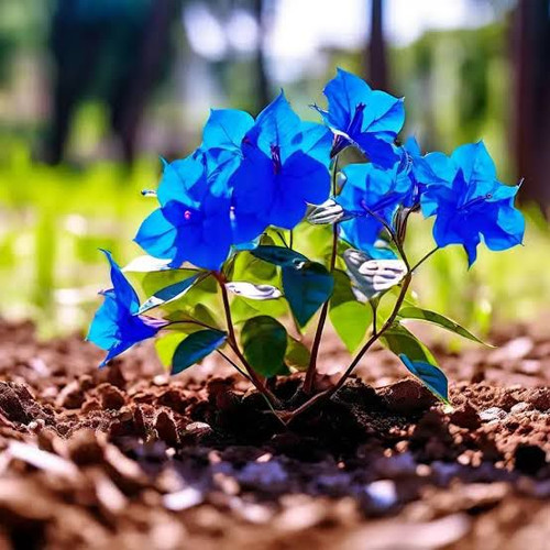 b5013ffc 97fc 46ed b927 df7ea9382dd1.jpg