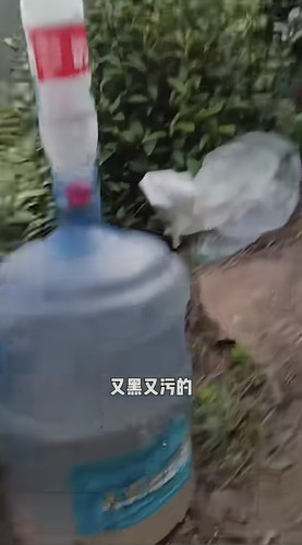 IMG 7995.jpg