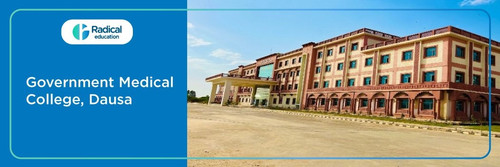 GOVT Dausa.jpg