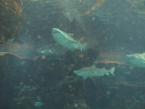 01 IMG 4009 orig.jpg