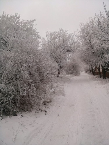 rl 43997263790 o.jpg