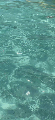 IMG 8077.png