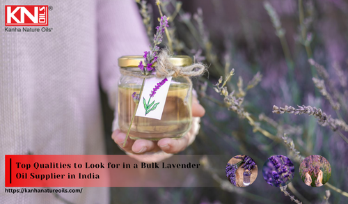 Top Qualities to Look for in a Bulk Lavender Oil Supplier in India.png