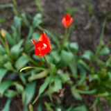DSC02600