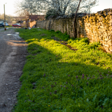 DSC02646