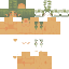 pmcskin3d steve.png