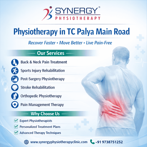 Physiotherapy services on TC Pal.png