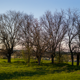 DSC02661