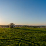 DSC02665