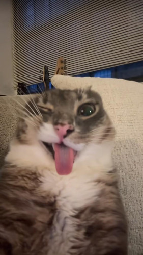file.jpg