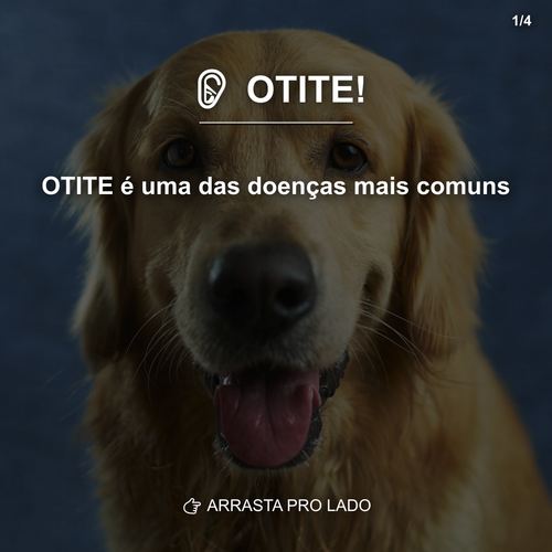 carousel 1775480402476 slide1.png