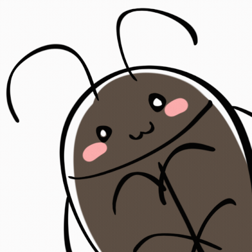 未命名 694 202604062052 06986.gif