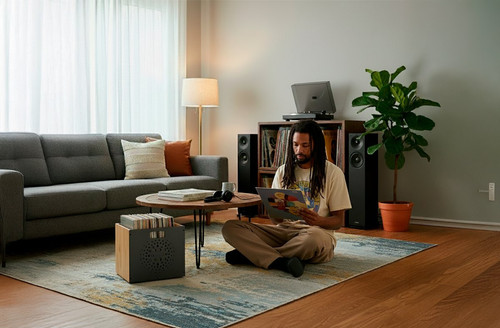 vinyl collector browsing opt.jpg