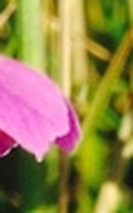 78ca85902e6c.jpg