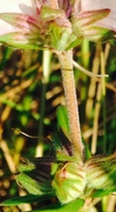 73e5b834887b.jpg