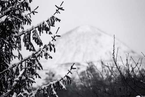 rl 43997265330 o.jpg