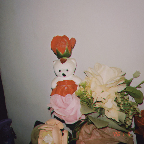 Shot with OldRoll 4s..jpg