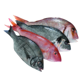 Mix Fish 500g, Whole Cleaned, Gross Weight Before Cutting & Cleaning