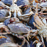 Crab Mix.2